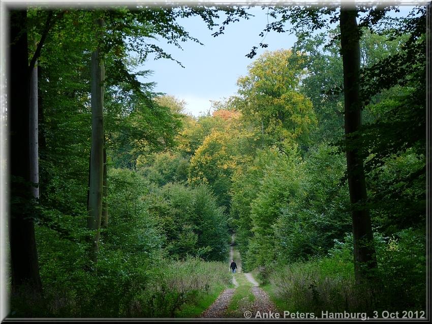 Aumühle 03.10.2012