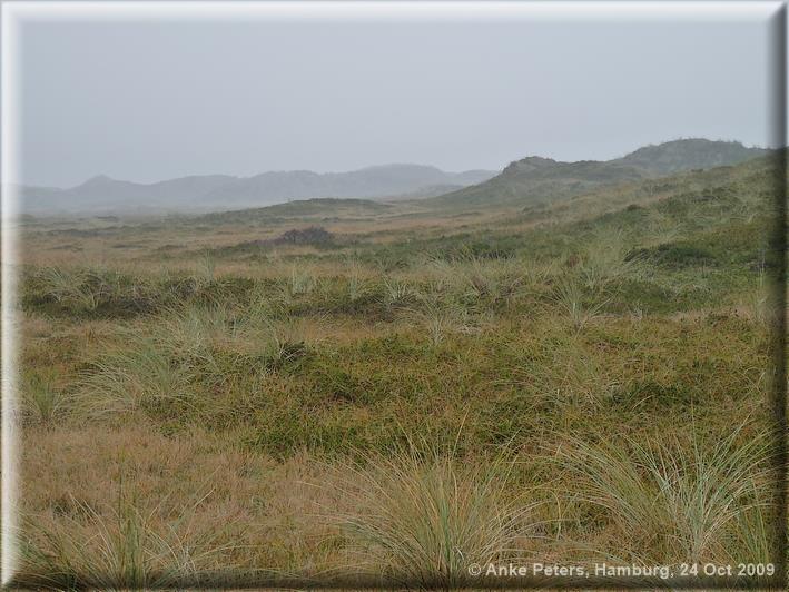 Langeoog
