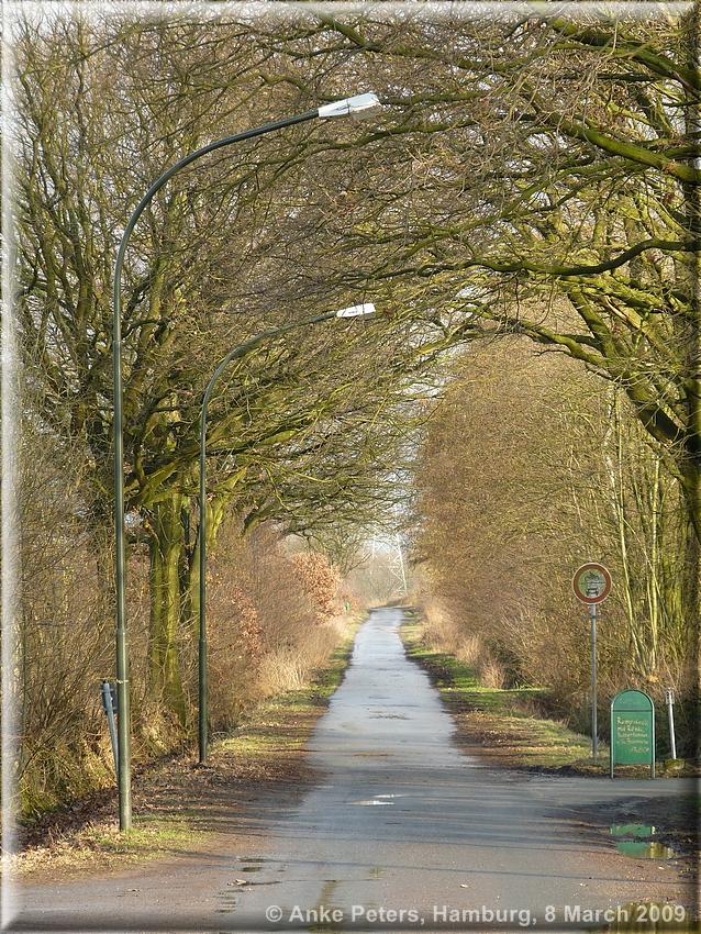 Lohbrügge 8.3.2009