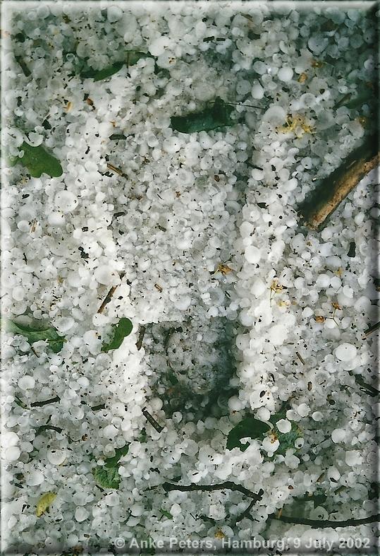 Bergstedt 9.7.2002