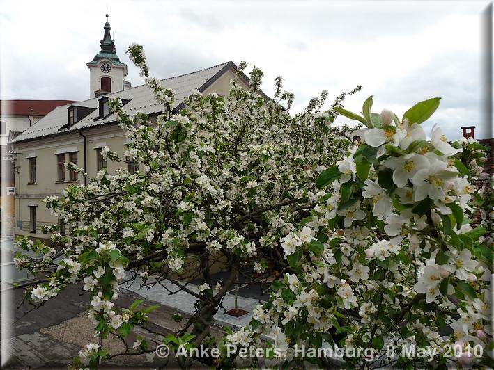Postojna 8 May 2010