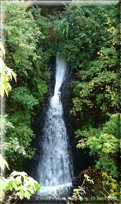 Latourell Falls