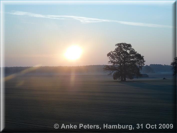 Ivenack 31.10.2009